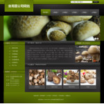 食用菌公司网站