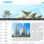 房地产开发公司网站